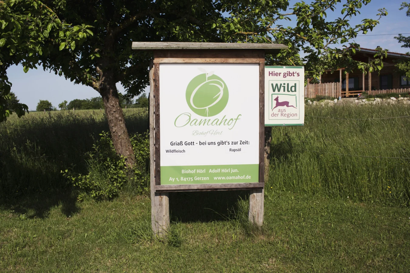 Das Team mit Gnocchi im Blut Warum GnocchUout? Hier erfährst du’s