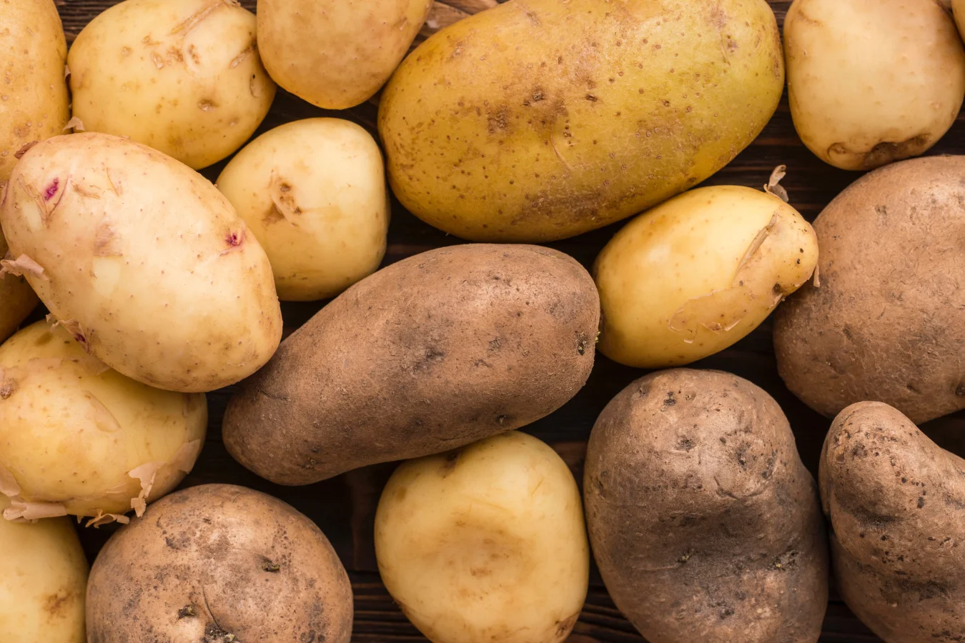 Gnocchi neu gedacht – von echten Könnern Vom Plan zur Kartoffelrevolution