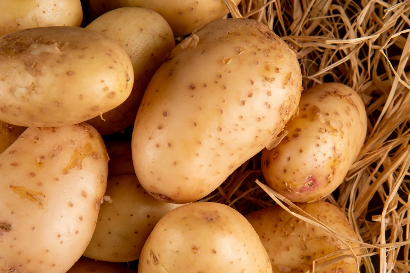 Gastro-Profis mit Gnocchi-Vision Unsere Reise mit dem Foodtruck